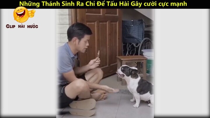 Những Thánh Sinh Ra Chỉ Để Tấu Hài Gây cười cực mạnh p5