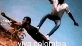 biba colomvia