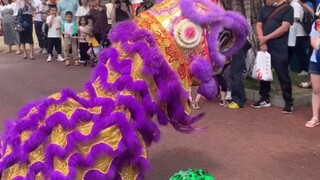 Daxi Ji bullied the frog puppet, only to be beaten up badly by the dinosaur brother invited over by 