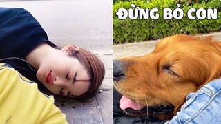 Tiểu Mễ | Cảm Động Tiểu Mễ Làm Tất Cả Để Bảo Vệ Mẹ Trước Nguy Hiểm Nhưng... 😥 Gâu Đần Official