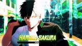 Wind Breaker "Haruka Sakura" [EDIT/AMV]