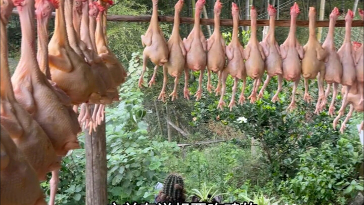 Piggy friends, you've won!