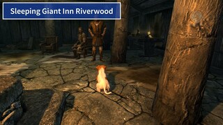 Skyrim: Add New Follower Dogs, Dovahkiin Dog