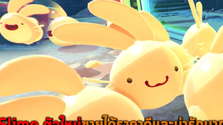 Slime ตัวใหม่ขายได้ราคาดีและน่ารักมาก Slime Rancher 2