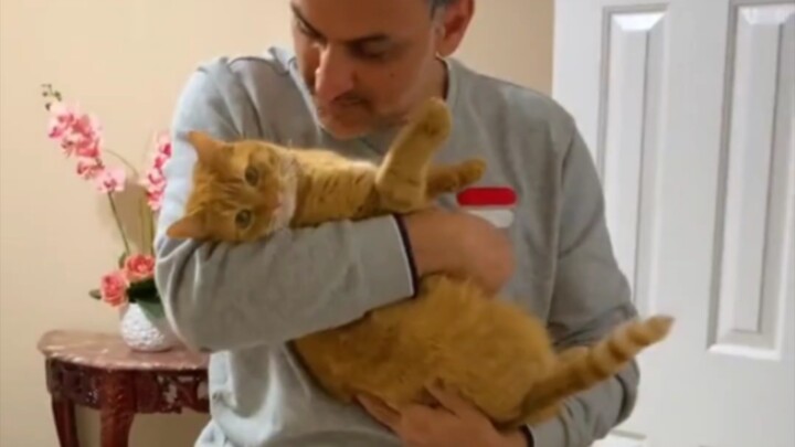 قط برتقالي يكره كل الكائنات الحية.. يا له من إله معركة، بل إله حبٍّ صادق!