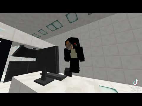 Minecraft tiktok