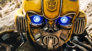 [Bumblebee] Siapa yang dapat menolak Bumblebee yang lucu dan menggemaskan, raja pertarungan satu law