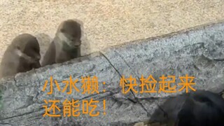 [Holding the chopsticks upside down] The video has been packaged, welcome to watch!