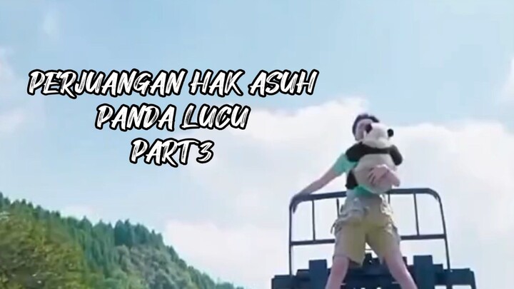 PERJUANGAN HAK ASUH PANDA PART 3