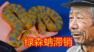 仅售138元！真香！ safari2022年绿森蚺模型 开箱评测