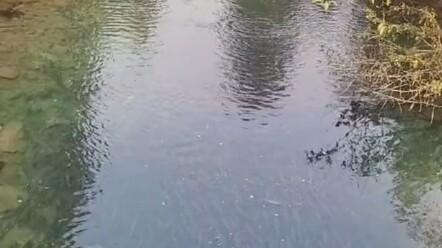 Các anh em câu cá từ khắp nơi đã đến chi viện, nhận được hãy hồi đáp!