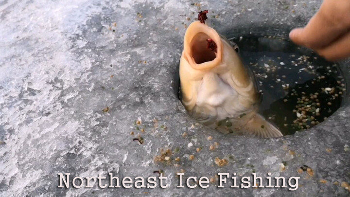 The Magical Ice-Fishing in North-East China