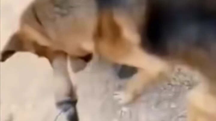 “Sekalipun musuh jauh lebih banyak, saya tetap mampu memenggal kepala lawan di tengah lautan pasukan