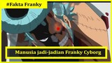 Franky One Piece | Orang yang Tahu Senjata Penghancur Massal Pluton | 2020