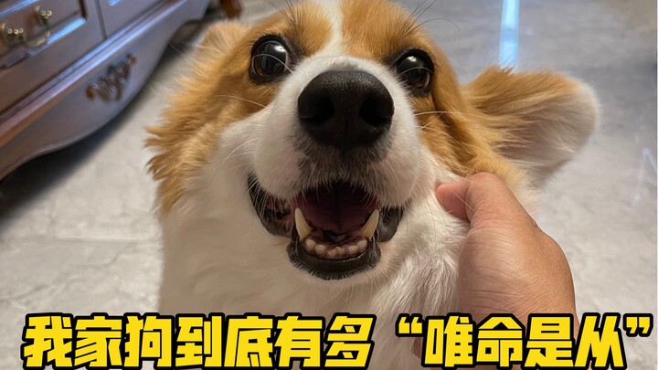Xiao Bei: If you keep being this annoying, I’m definitely running away from home!