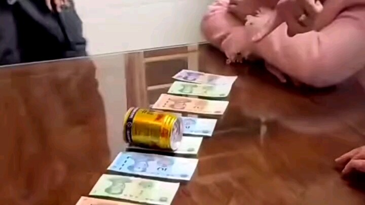 أكثر متعة من الخروج للتنزه