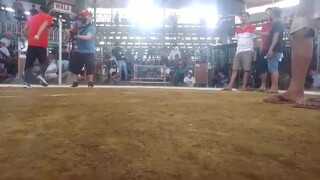 2hits ulutan 2ndfight wins