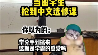 【Cat Meme】Students, choose your Chinese elective courses carefully!