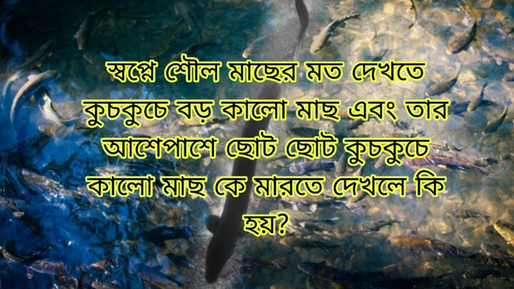 স্বপ্নে শৌল মাছেরমত কুচকুচে বড় কালো মাছ এবং আশেপাশে ছোটছোট কুচকুচে কালো মাছ কে মারতে দেখলে কি হয়