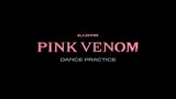 Official Pink Venom By Black Pink(블랙핑크) Dance Practice