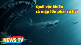 Bí ẩn về quái vật đã khiến cho cá mập lớn phải sợ hãi