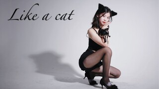 like a cat-AOA เต้นโคฟเวอร์เซ็กซี่~เจ้าแมวดำในยามค่ำคืน