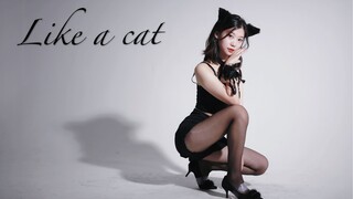 Cover tarian Like A Cat-AOA~ Kucing hitam di malam hari.