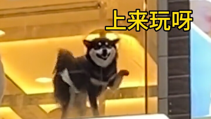 Jangan foto, keluargaku nggak tahu aku ngelakuin ini!