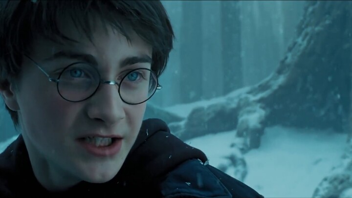 [HP/Lone Hero] "Expecto Patronum! Please protect the one I love!"