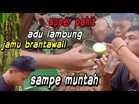 Sampe Muntah Adu Lambung Jamu Brantawali