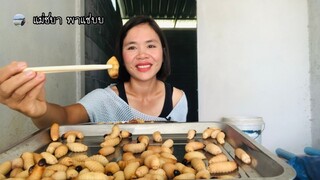 ด้วงมะพร้าว กินครั้งแรก แซ่บดีจ้า มันๆ กลมกล่อมกำลังดี | แม่ชบาพาแซ่บบ