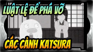 Luật lệ để phá vỡ
Các cảnh Katsura_D