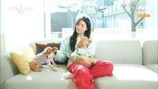 [1080p][raw] Lone Trainer / Trainer on the Road E21