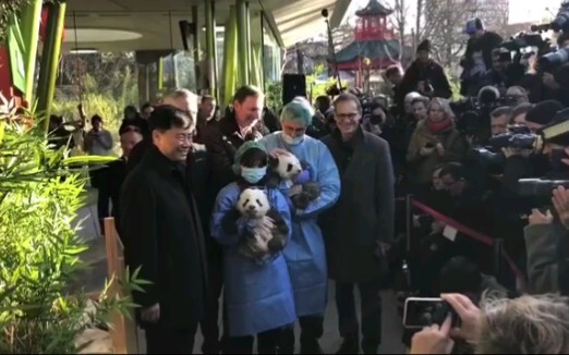 Holding the twins naming ritual. They will be named "Meng Xiang" and "Meng Yuan"