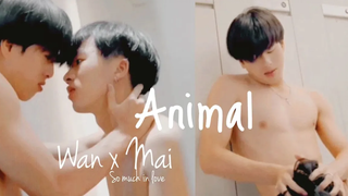 [BL] FMV ว่าน x ใหม่ / มิลล์ x หยาง - ANIMAL