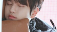 StrayKids Kim Seung-min-bukan gambar! Berbaring di tempat tidur memperhatikan anak anjing tidur di a