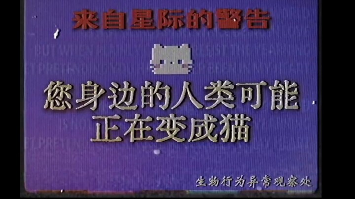 มนุษย์รอบตัวคุณกำลังกลายเป็นแมว!!