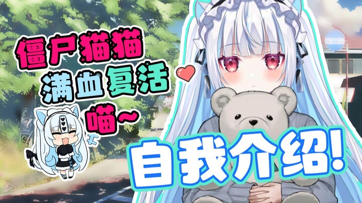 【自我介绍】请问你愿意做僵尸猫猫的主人吗~