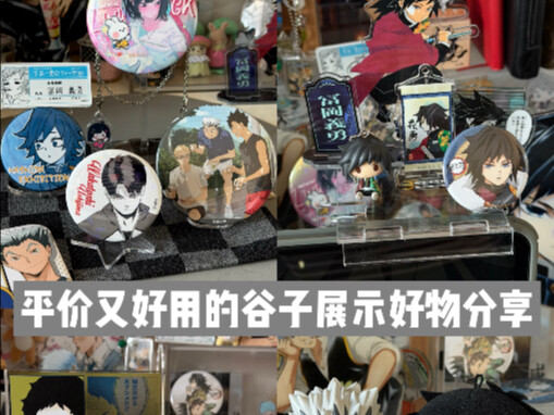 Affordable merch showcase! Hobbyists can score great items for just a few bucks!