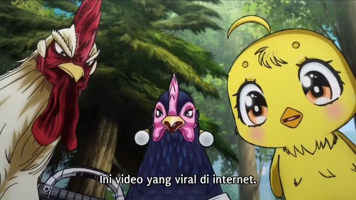para ayam terkejut