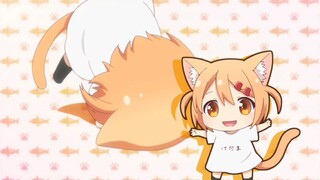 Loli😁