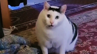 Do it once a day, and goodbye worries!