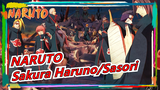 [NARUTO] Taijutsu Cut| Sakura Haruno VS Sasori (Original Version)