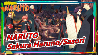 [NARUTO] Potongan Taijutsu| Sakura Haruno VS Sasori (Versi Asli)