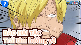 ĐẢO HẢI TẶC|[Sanji]Trái tim hướng về đâu thì tôi sẽ đi theo đó_1