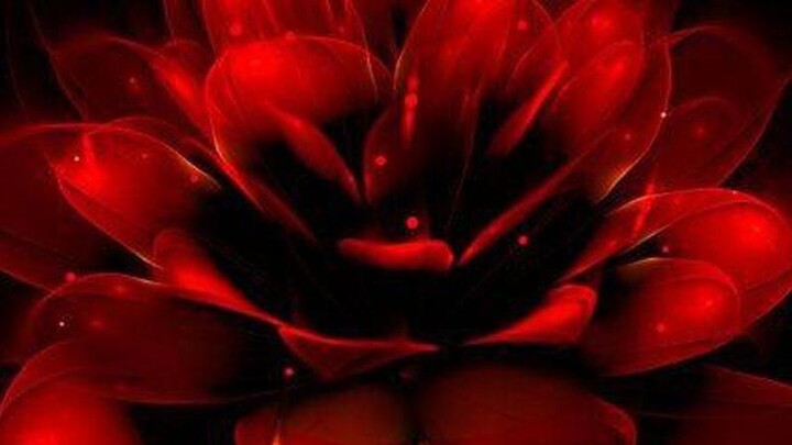 Fall💖💖 tiktok:💛||•Bird•||💛 roblox:chloedaquioag