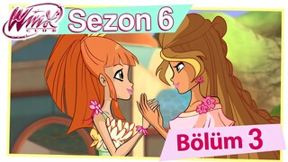 Winx Club - Sezon 6 Bölüm 3 - Uçan Okul