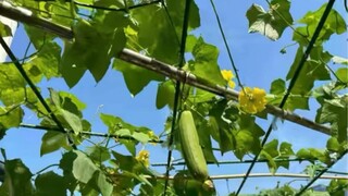 “有人说生命始于三十岁，有人说生命始于五十岁。其实都不对，生命始于你不再取悦围观者的那一天。 ”