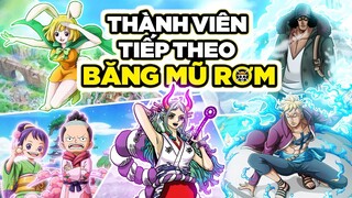 Dự Đoán Thành Viên Mới Ra Nhập Băng Mũ Rơm Sau Arc Wano Quốc Anime One Piece | Tóm Tắt Anime Hay