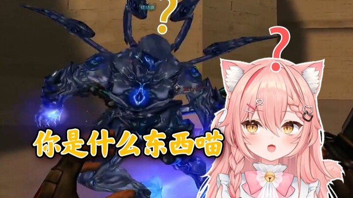 แมวต่างชาติเล่นโหมดซอมบี้ในเกม CF ครั้งแรก ร้องตั้งแต่ต้นจนจบ